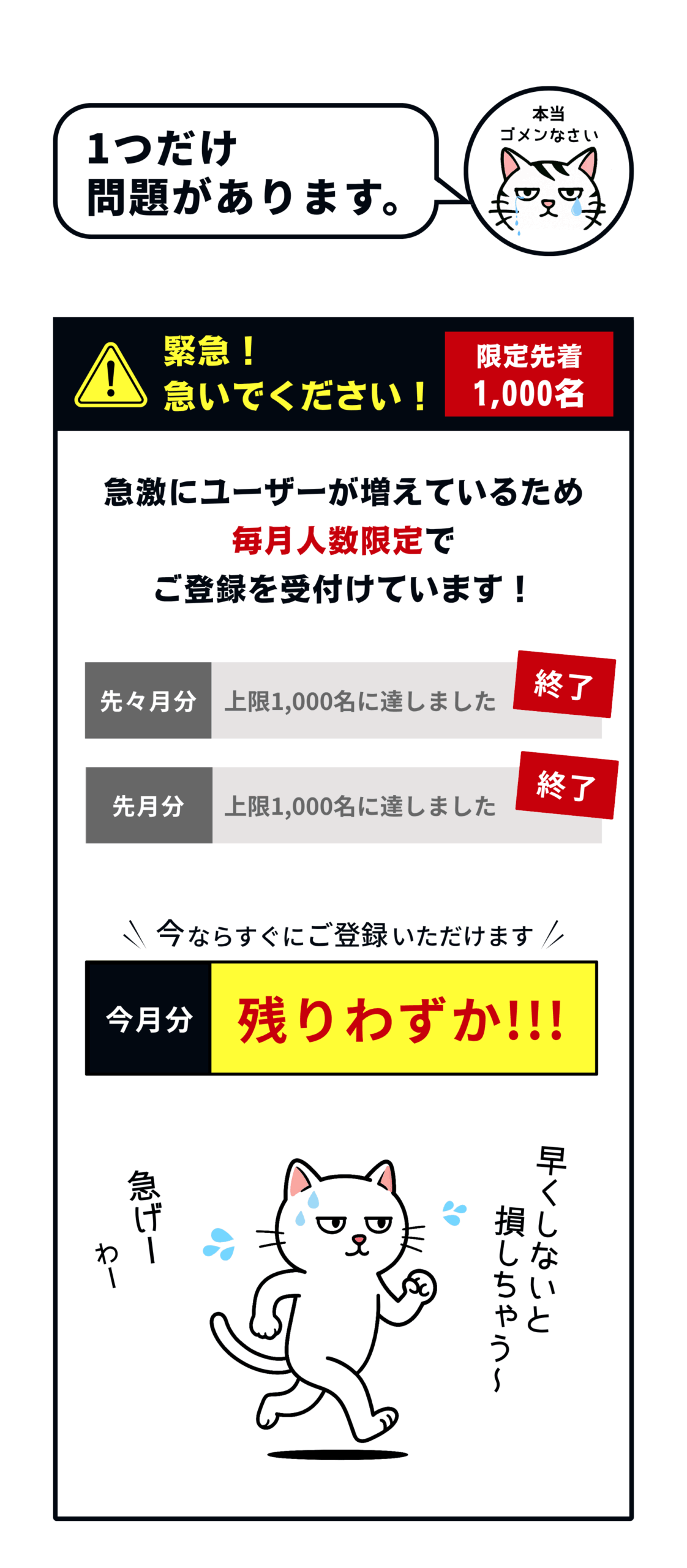 マイピックスベスト登録枠